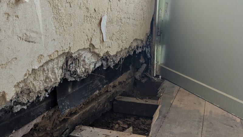2. Woche bis 14.05 – Abriss schreitet voran… mit Überraschungen